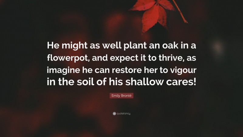 Emily Brontë Quote: “He might as well plant an oak in a flowerpot, and expect it to thrive, as imagine he can restore her to vigour in the soil of his shallow cares!”