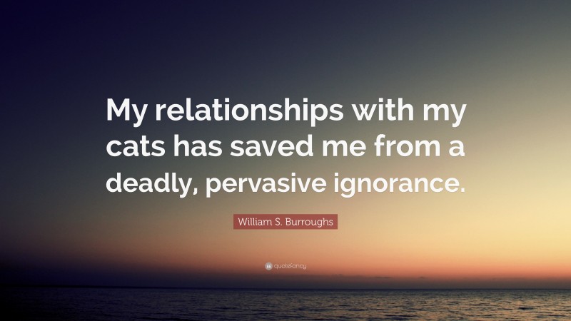 William S. Burroughs Quote: “My relationships with my cats has saved me from a deadly, pervasive ignorance.”