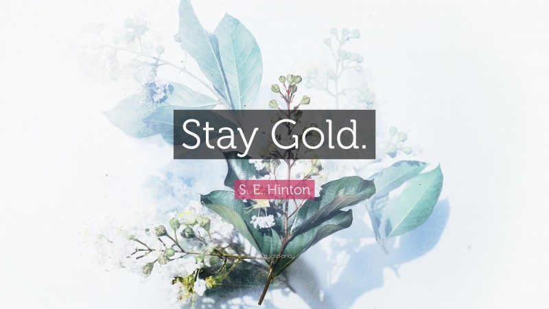 S. E. Hinton Quote: “Stay Gold.”