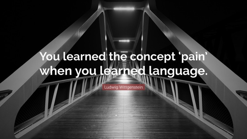 Ludwig Wittgenstein Quote: “You learned the concept ‘pain’ when you learned language.”