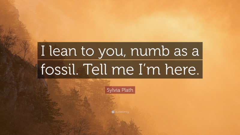Sylvia Plath Quote: “I lean to you, numb as a fossil. Tell me I’m here.”