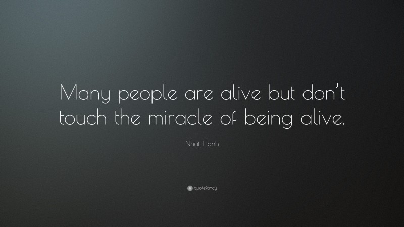 Nhat Hanh Quote: “Many people are alive but don’t touch the miracle of being alive.”
