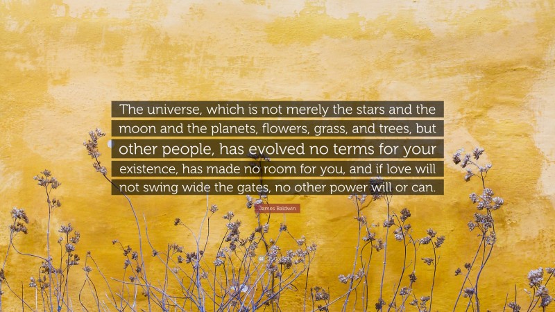 James Baldwin Quote: “The universe, which is not merely the stars and the moon and the planets, flowers, grass, and trees, but other people, has evolved no terms for your existence, has made no room for you, and if love will not swing wide the gates, no other power will or can.”