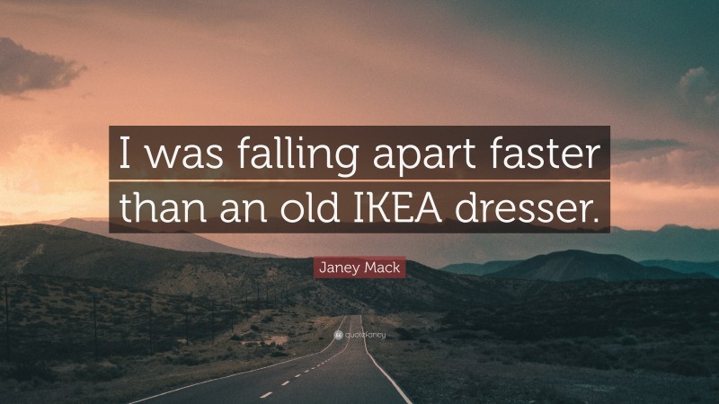 Janey Mack Quote: “I was falling apart faster than an old IKEA dresser.”