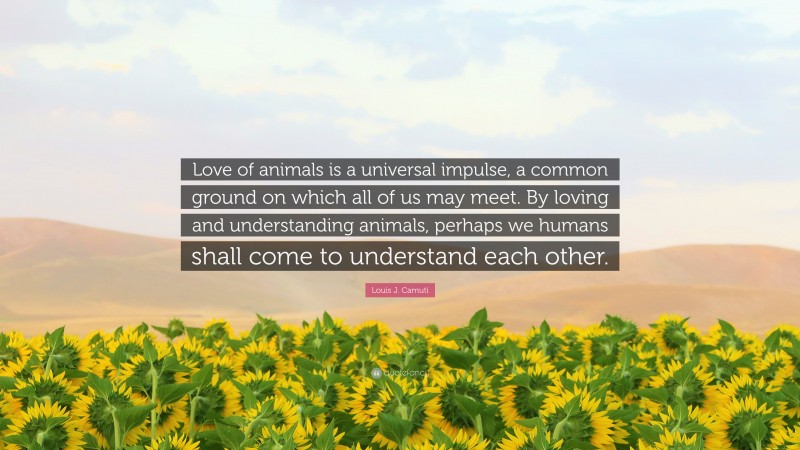 Louis J. Camuti Quote: “Love of animals is a universal impulse, a common ground on which all of us may meet. By loving and understanding animals, perhaps we humans shall come to understand each other.”