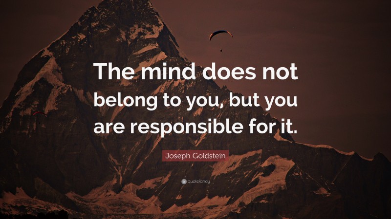 Joseph Goldstein Quote: “The mind does not belong to you, but you are responsible for it.”