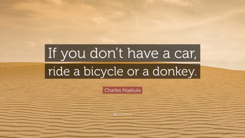 Charles Nqakula Quote: “If you don’t have a car, ride a bicycle or a donkey.”