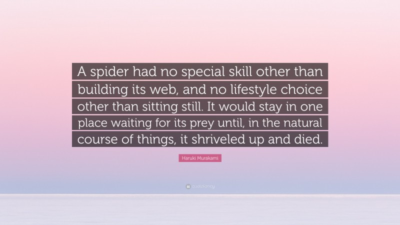 Haruki Murakami Quote: “A spider had no special skill other than building its web, and no lifestyle choice other than sitting still. It would stay in one place waiting for its prey until, in the natural course of things, it shriveled up and died.”