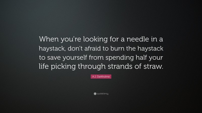 A.J. Darkholme Quote: “When you’re looking for a needle in a haystack, don’t afraid to burn the haystack to save yourself from spending half your life picking through strands of straw.”