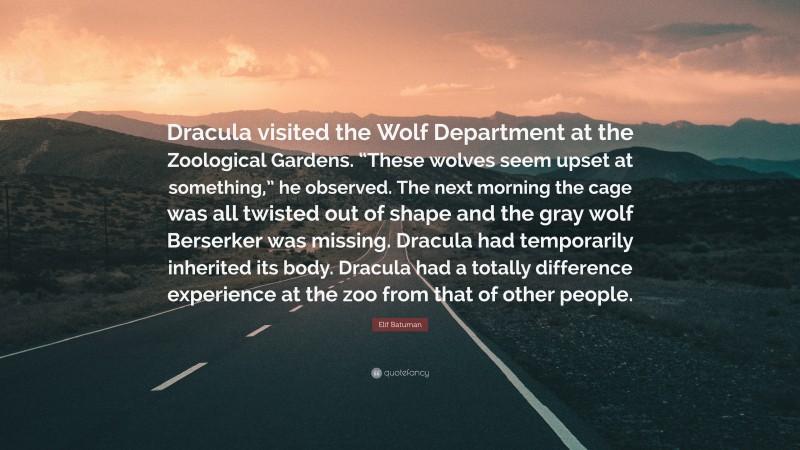 Elif Batuman Quote: “Dracula visited the Wolf Department at the Zoological Gardens. “These wolves seem upset at something,” he observed. The next morning the cage was all twisted out of shape and the gray wolf Berserker was missing. Dracula had temporarily inherited its body. Dracula had a totally difference experience at the zoo from that of other people.”