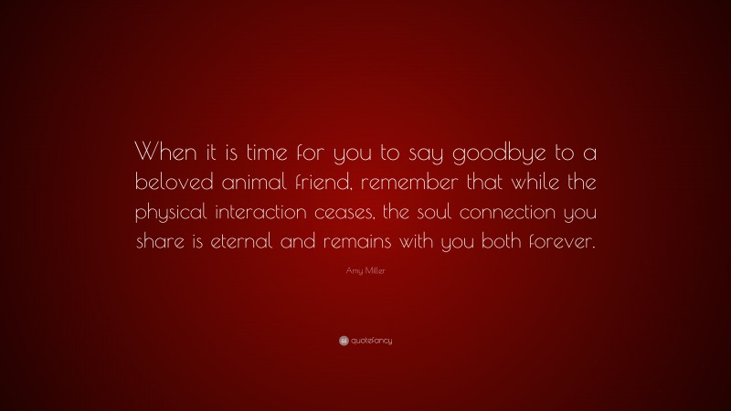 Amy Miller Quote: “When it is time for you to say goodbye to a beloved animal friend, remember that while the physical interaction ceases, the soul connection you share is eternal and remains with you both forever.”