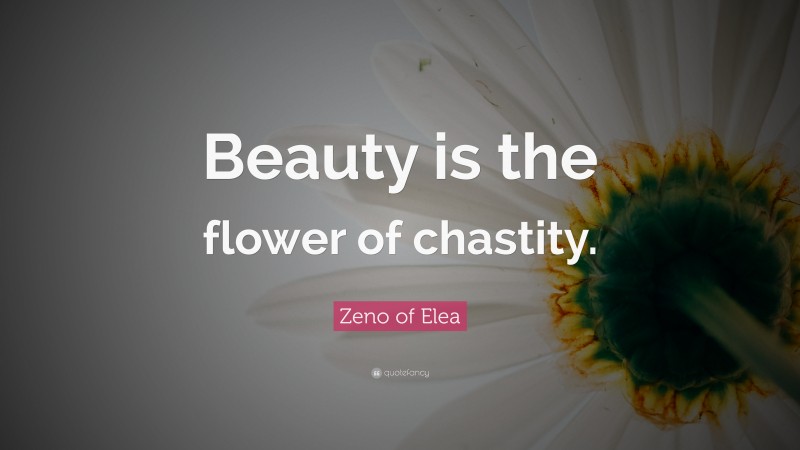 Zeno of Elea Quote: “Beauty is the flower of chastity.”