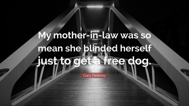 Gary Delaney Quote: “My mother-in-law was so mean she blinded herself just to get a free dog.”