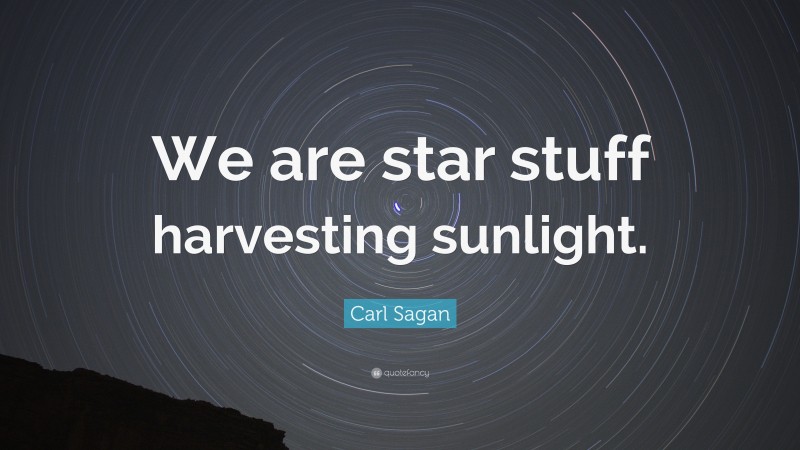 Carl Sagan Quote: “We are star stuff harvesting sunlight.”