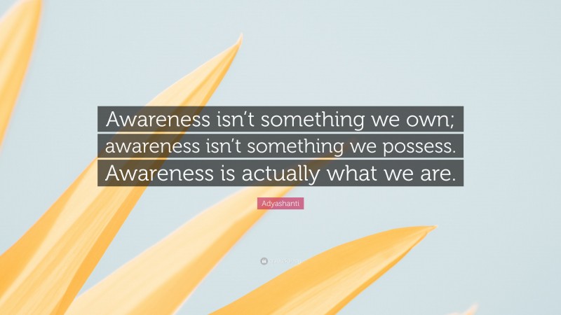 Adyashanti Quote: “Awareness isn’t something we own; awareness isn’t something we possess. Awareness is actually what we are.”