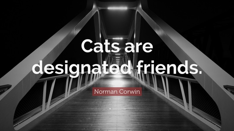 Norman Corwin Quote: “Cats are designated friends.”