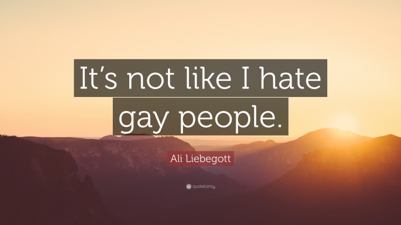 Ali Liebegott Quote: “It’s not like I hate gay people.”