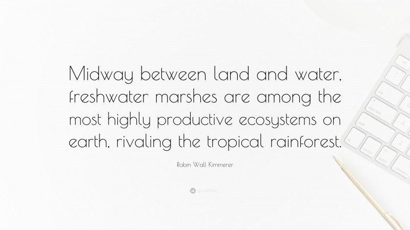 Robin Wall Kimmerer Quote: “Midway between land and water, freshwater marshes are among the most highly productive ecosystems on earth, rivaling the tropical rainforest.”