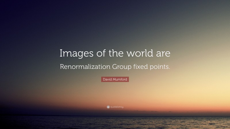 David Mumford Quote: “Images of the world are Renormalization Group fixed points.”