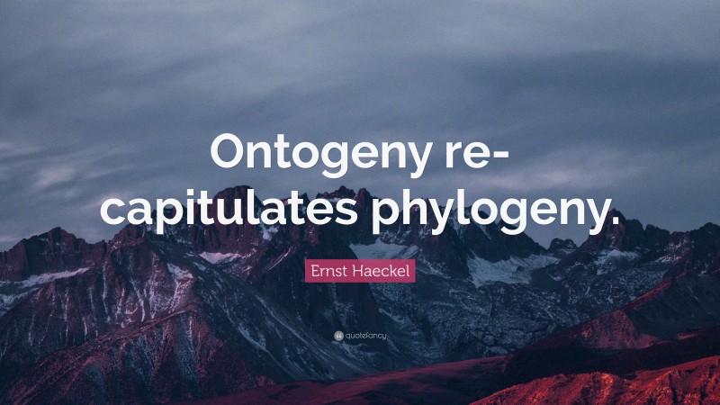 Ernst Haeckel Quote: “Ontogeny re-capitulates phylogeny.”