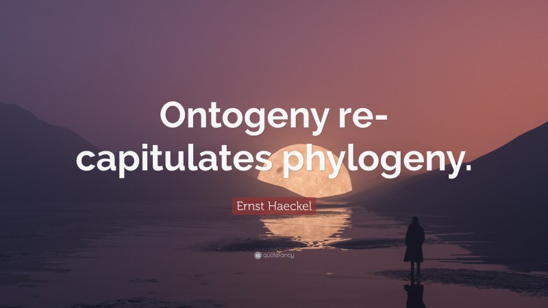 Ernst Haeckel Quote: “Ontogeny re-capitulates phylogeny.”