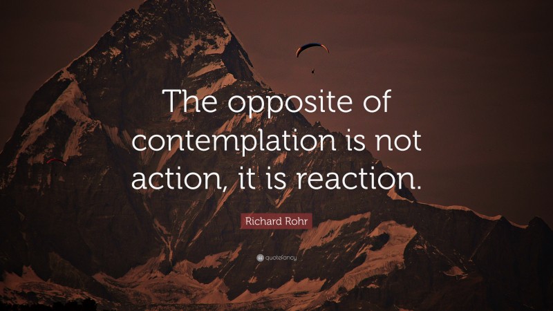 Richard Rohr Quote: “The opposite of contemplation is not action, it is reaction.”