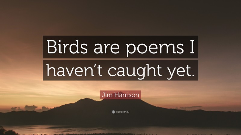 Jim Harrison Quote: “Birds are poems I haven’t caught yet.”