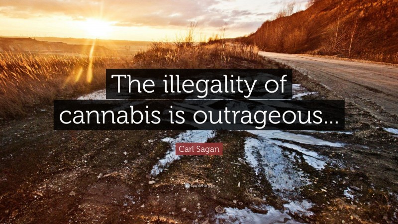 Carl Sagan Quote: “The illegality of cannabis is outrageous...”