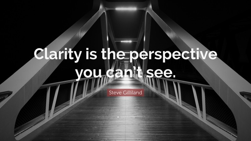 Steve Gilliland Quote: “Clarity is the perspective you can’t see.”