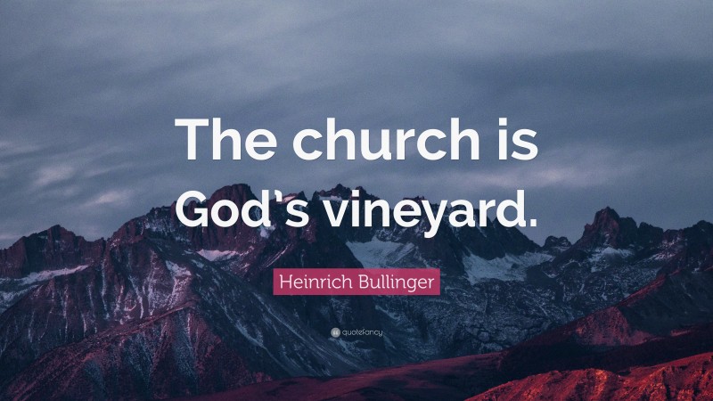 Heinrich Bullinger Quote: “The church is God’s vineyard.”