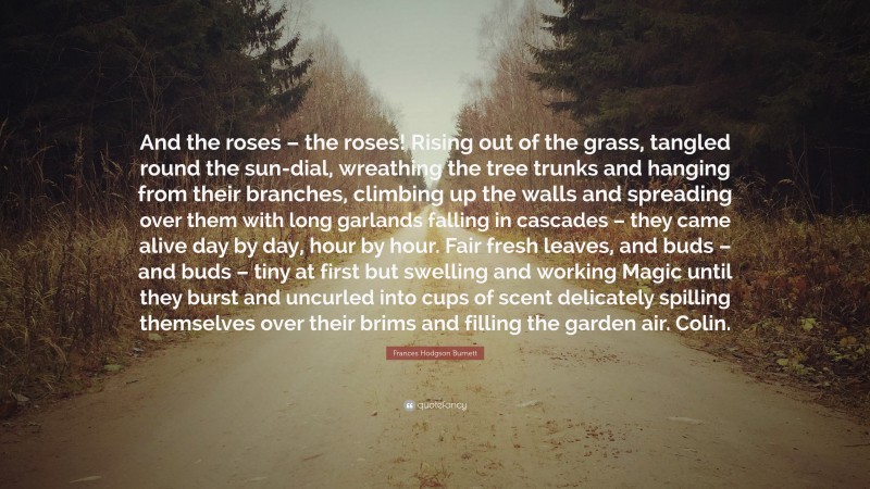 Frances Hodgson Burnett Quote: “And the roses – the roses! Rising out of the grass, tangled round the sun-dial, wreathing the tree trunks and hanging from their branches, climbing up the walls and spreading over them with long garlands falling in cascades – they came alive day by day, hour by hour. Fair fresh leaves, and buds – and buds – tiny at first but swelling and working Magic until they burst and uncurled into cups of scent delicately spilling themselves over their brims and filling the garden air. Colin.”