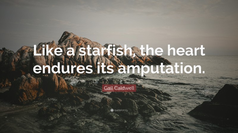 Gail Caldwell Quote: “Like a starfish, the heart endures its amputation.”
