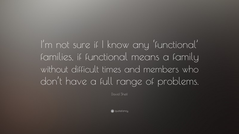 David Sheff Quote: “I’m not sure if I know any ‘functional’ families, if functional means a family without difficult times and members who don’t have a full range of problems.”