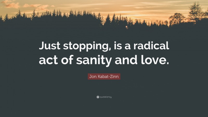 Jon Kabat-Zinn Quote: “Just stopping, is a radical act of sanity and love.”