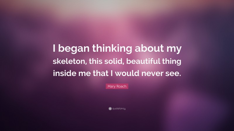Mary Roach Quote: “I began thinking about my skeleton, this solid, beautiful thing inside me that I would never see.”