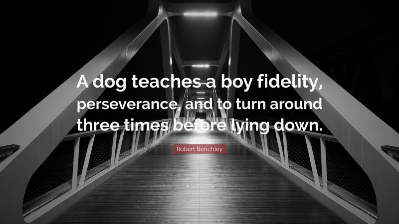 Robert Benchley Quote: “A dog teaches a boy fidelity, perseverance, and to turn around three times before lying down.”