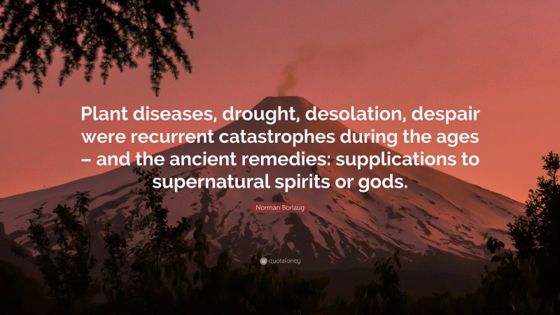 Norman Borlaug Quote: “Plant diseases, drought, desolation, despair were recurrent catastrophes during the ages – and the ancient remedies: supplications to supernatural spirits or gods.”