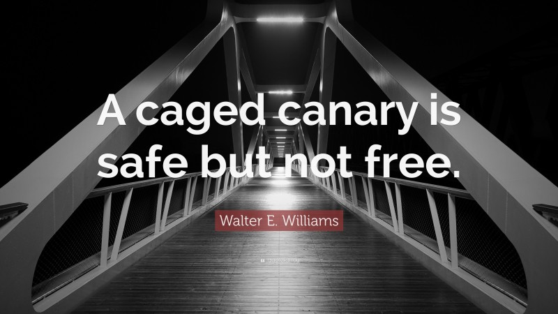 Walter E. Williams Quote: “A caged canary is safe but not free.”