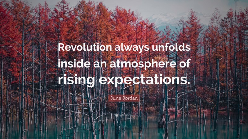 June Jordan Quote: “Revolution always unfolds inside an atmosphere of rising expectations.”