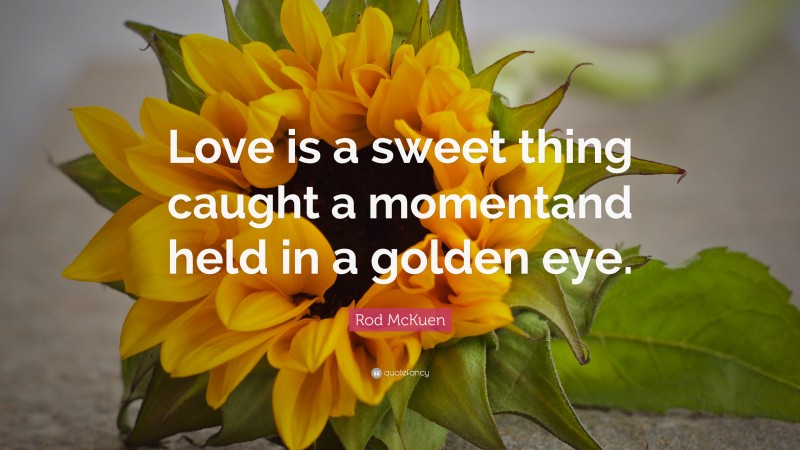 Rod McKuen Quote: “Love is a sweet thing caught a momentand held in a golden eye.”