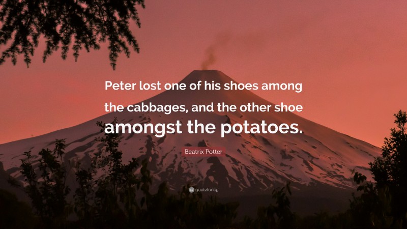 Beatrix Potter Quote: “Peter lost one of his shoes among the cabbages, and the other shoe amongst the potatoes.”
