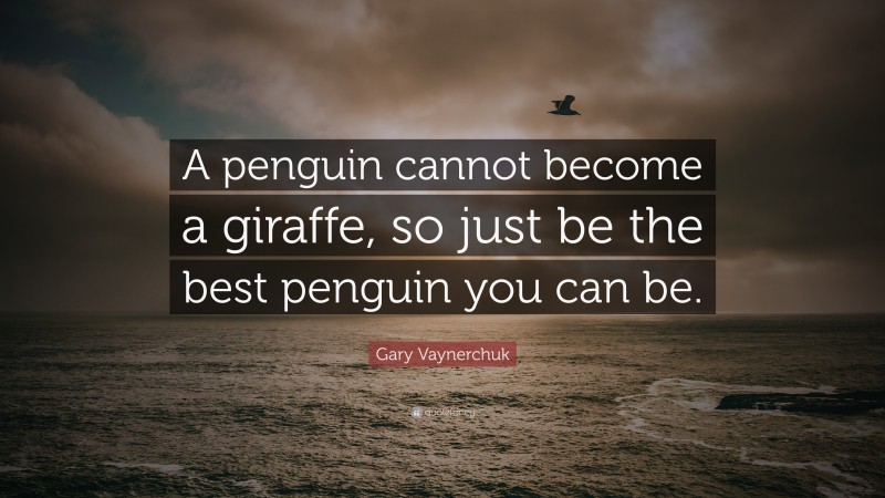 Gary Vaynerchuk Quote: “A penguin cannot become a giraffe, so just be the best penguin you can be.”