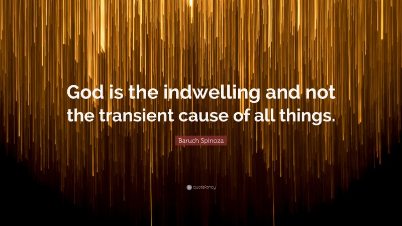 Baruch Spinoza Quote: “God is the indwelling and not the transient cause of all things.”