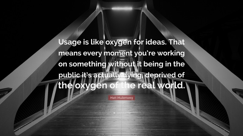 Matt Mullenweg Quote: “Usage is like oxygen for ideas. That means every moment you’re working on something without it being in the public it’s actually dying, deprived of the oxygen of the real world.”