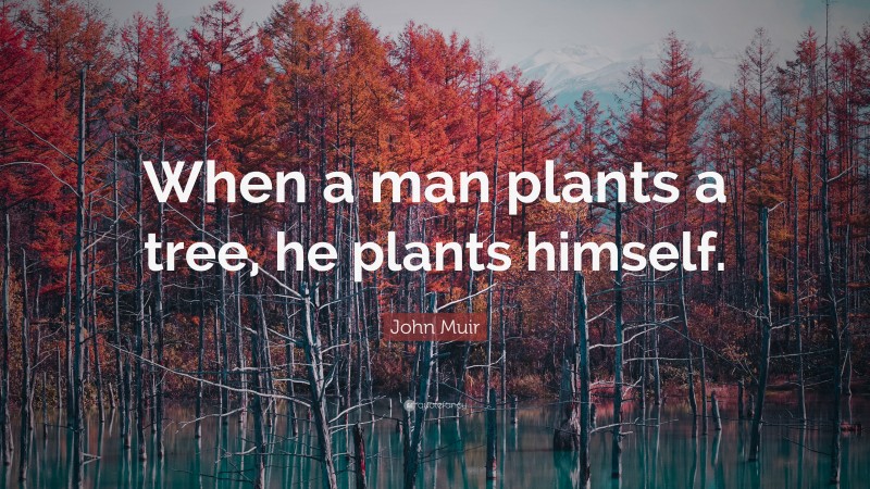 John Muir Quote: “When a man plants a tree, he plants himself.”