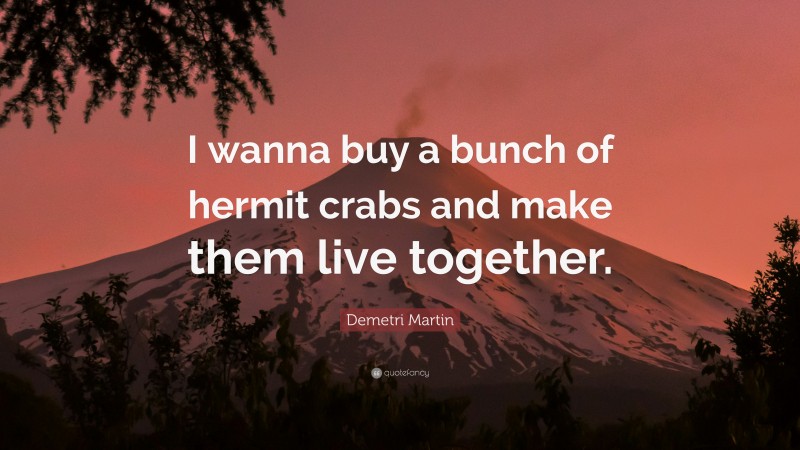 Demetri Martin Quote: “I wanna buy a bunch of hermit crabs and make them live together.”