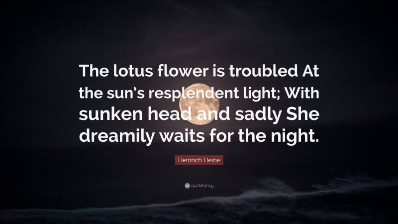 Heinrich Heine Quote: “The lotus flower is troubled At the sun’s resplendent light; With sunken head and sadly She dreamily waits for the night.”