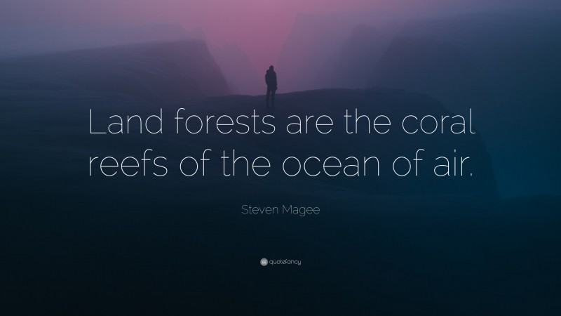 Steven Magee Quote: “Land forests are the coral reefs of the ocean of air.”