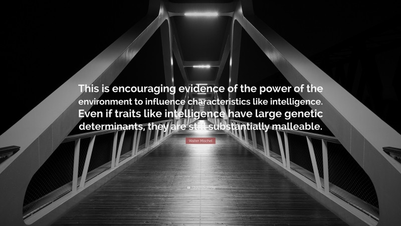 Walter Mischel Quote: “This is encouraging evidence of the power of the environment to influence characteristics like intelligence. Even if traits like intelligence have large genetic determinants, they are still substantially malleable.”