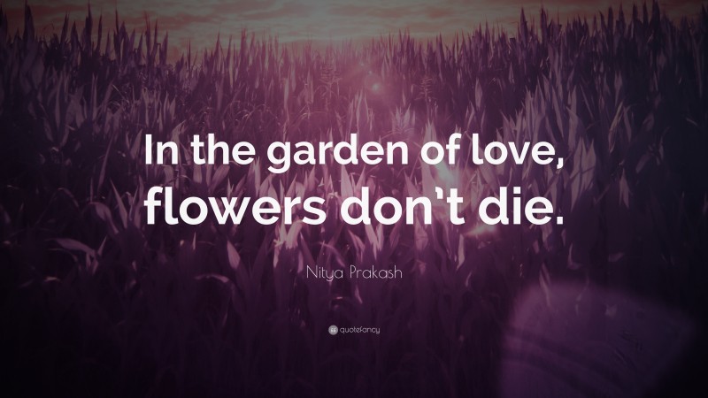 Nitya Prakash Quote: “In the garden of love, flowers don’t die.”